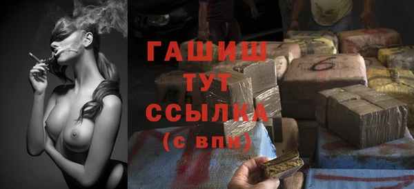 индика Аркадак