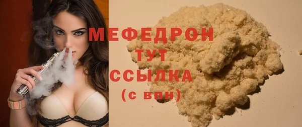 индика Аркадак