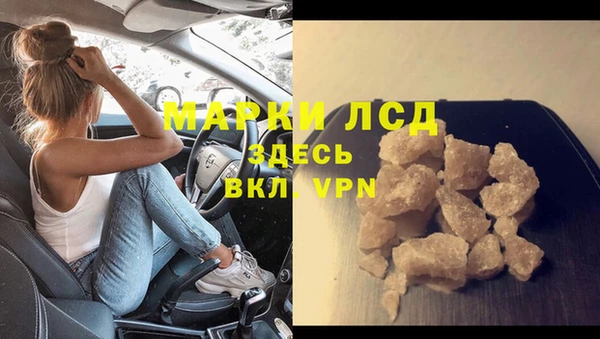 индика Аркадак