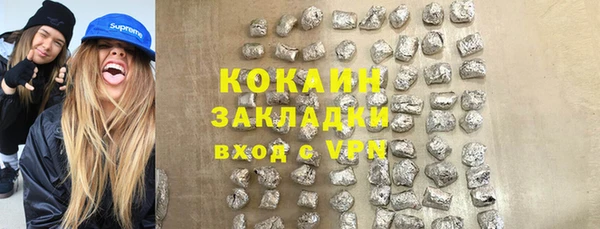 индика Аркадак