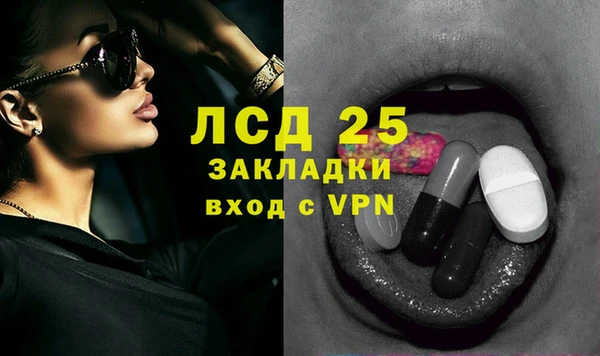 индика Аркадак