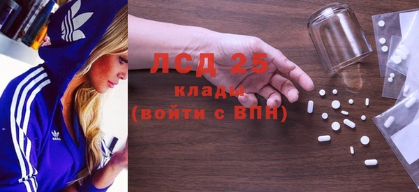 индика Аркадак
