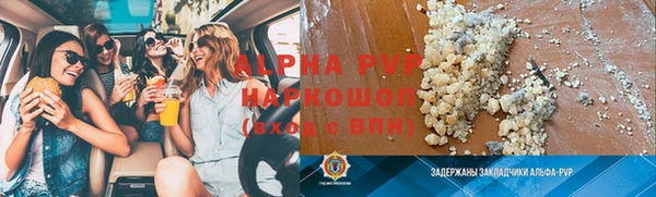 индика Аркадак