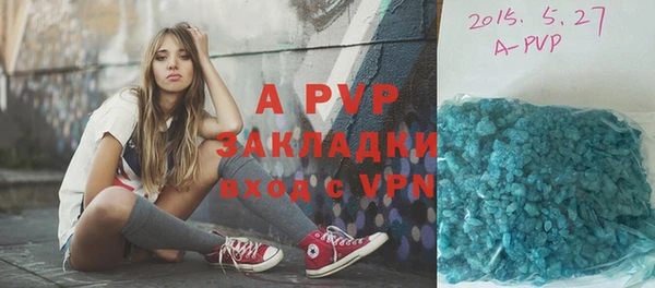 индика Аркадак