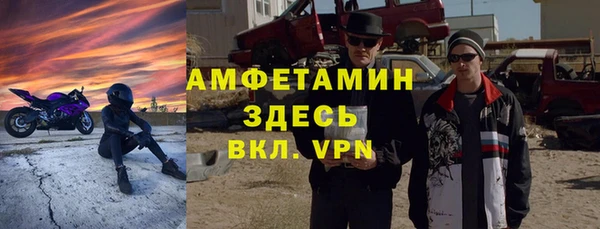 индика Аркадак