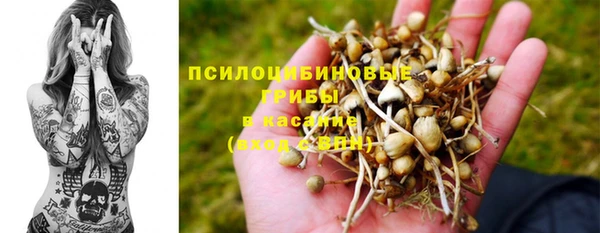 индика Аркадак